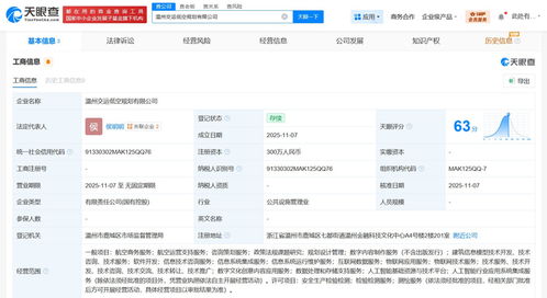 溫州市交通運輸集團牽頭成立低空規劃公司，注冊資本300萬推動咨詢策劃服務